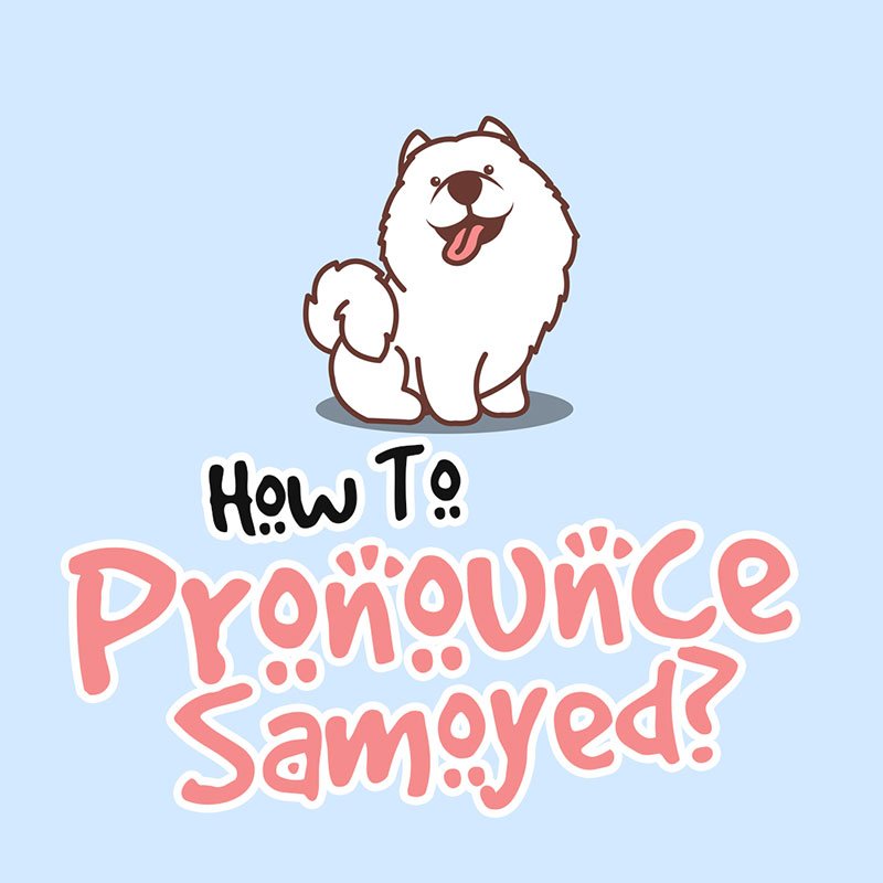 How To Pronounce Samoyed